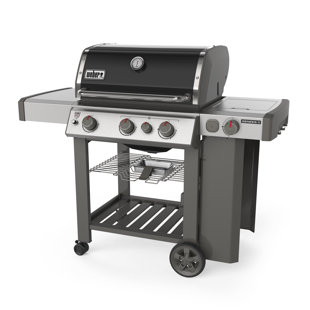 Weber Genesis E 330 Wayfair