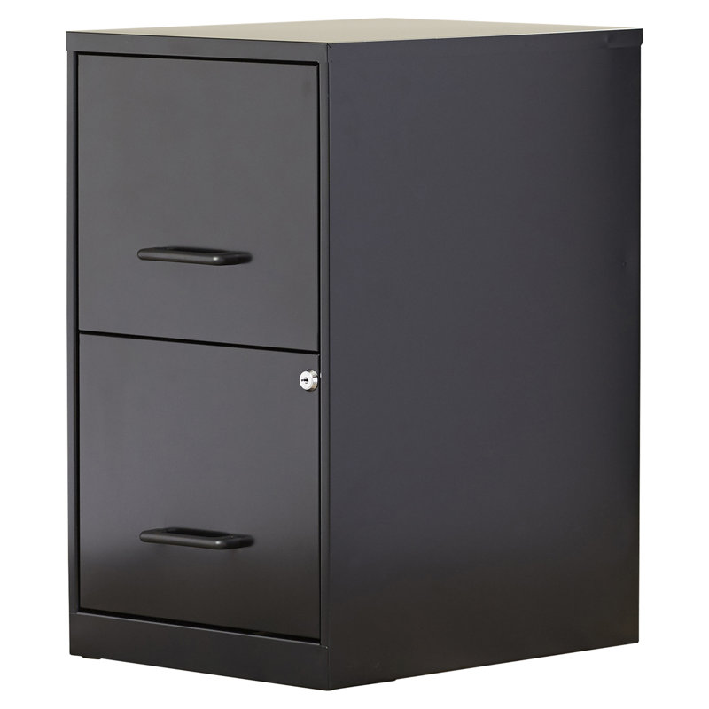 Worton 2 Drawer Vertical Filing Cabinet Reviews Allmodern