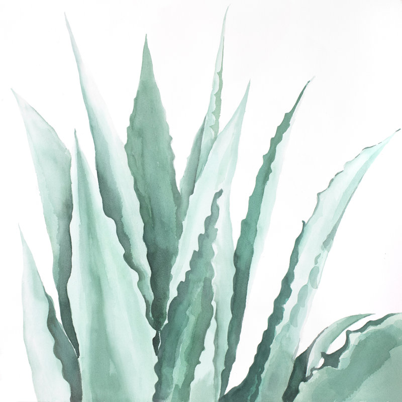 Bungalow Rose Agave Plant Oil Painting Print On Wrapped Canvas
