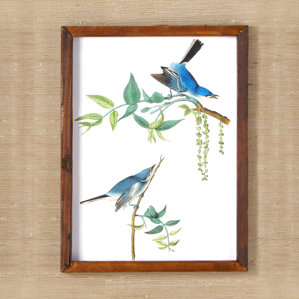 Birds Wall Art framed bird wall art | wayfair Birds Wall Art framed bird wall art | wayfair