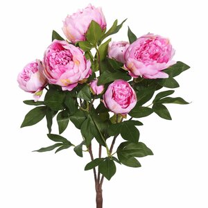 Peony Bush Stem (Set of 6)