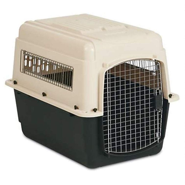 heavy duty cat carrier