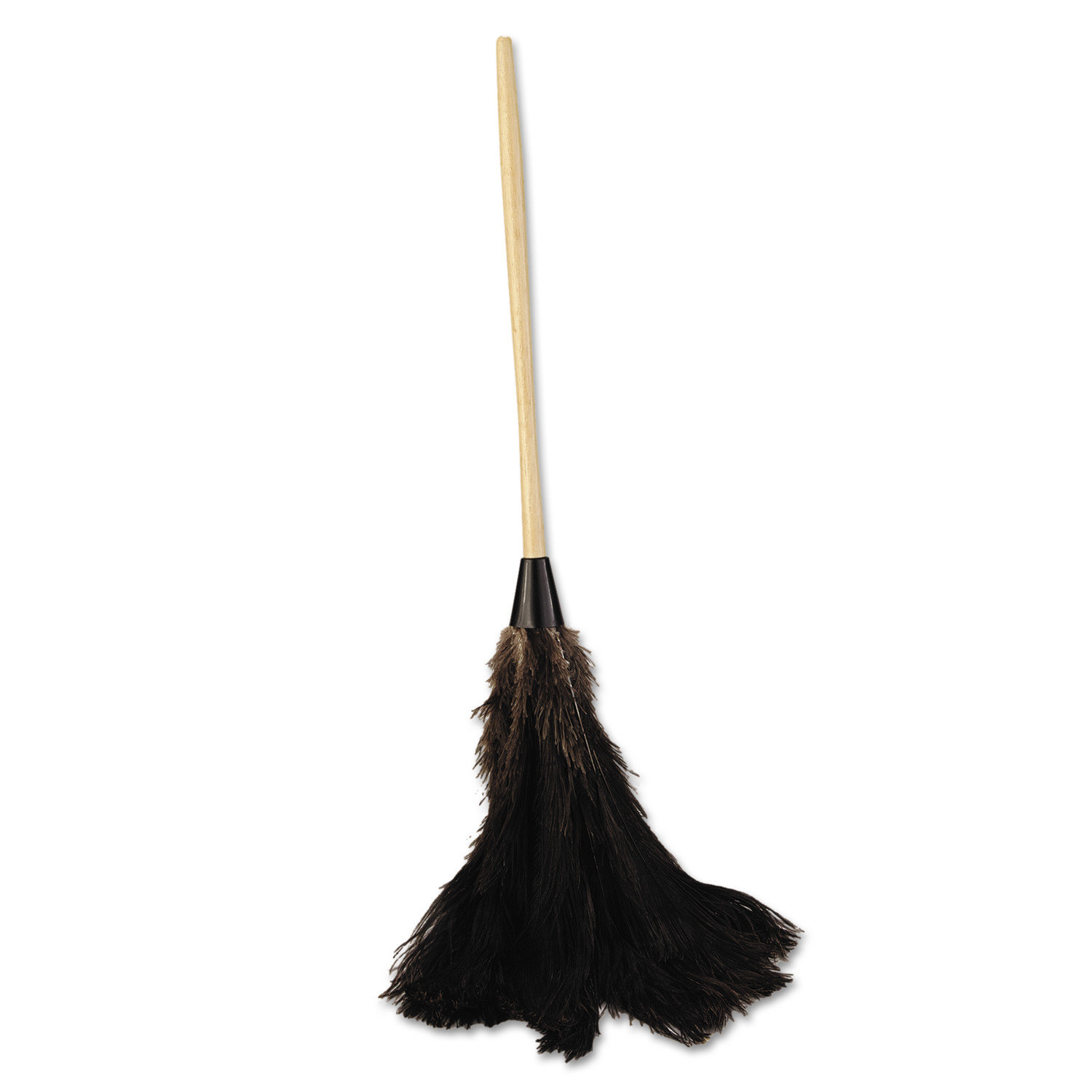 black feather duster