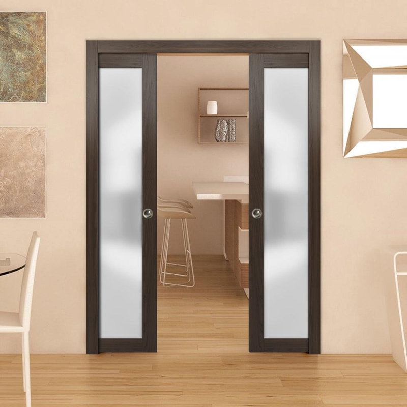 Sartodoors Planum Glass Sliding Closet Door Wayfair