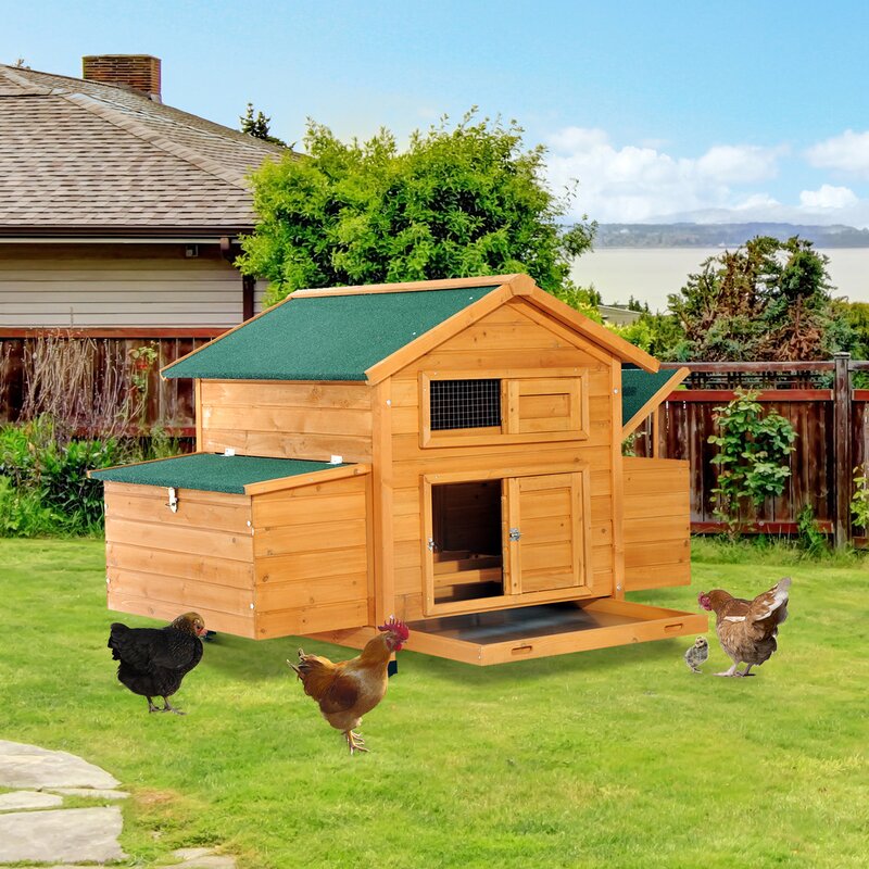 Aosom PawHut Deluxe Wooden Chicken Coop - PawHut+Deluxe+WooDen+Chicken+Coop