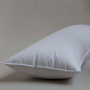 230 Thread Count Enviroloft Polyfill Body Pillow by Sealy