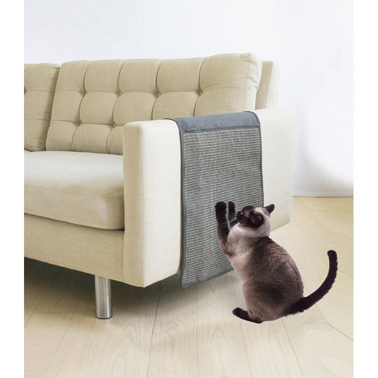 cats scratching sofa