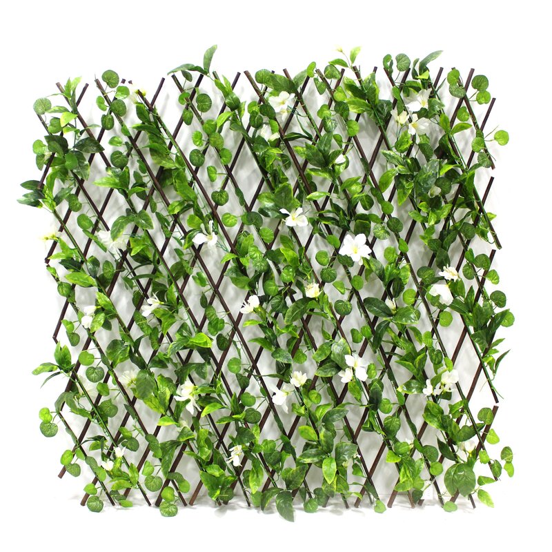 lattice privacy fence ivy