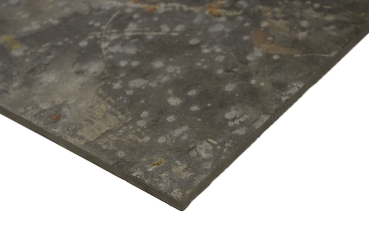 Msi Rustic 12 X Slate Field Tile In Multi Reviews Wayfair Rustic 12 X Slate Field Tile