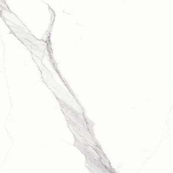 Bedrosians Magnifica 30 X 30 Porcelain Field Tile Wayfair