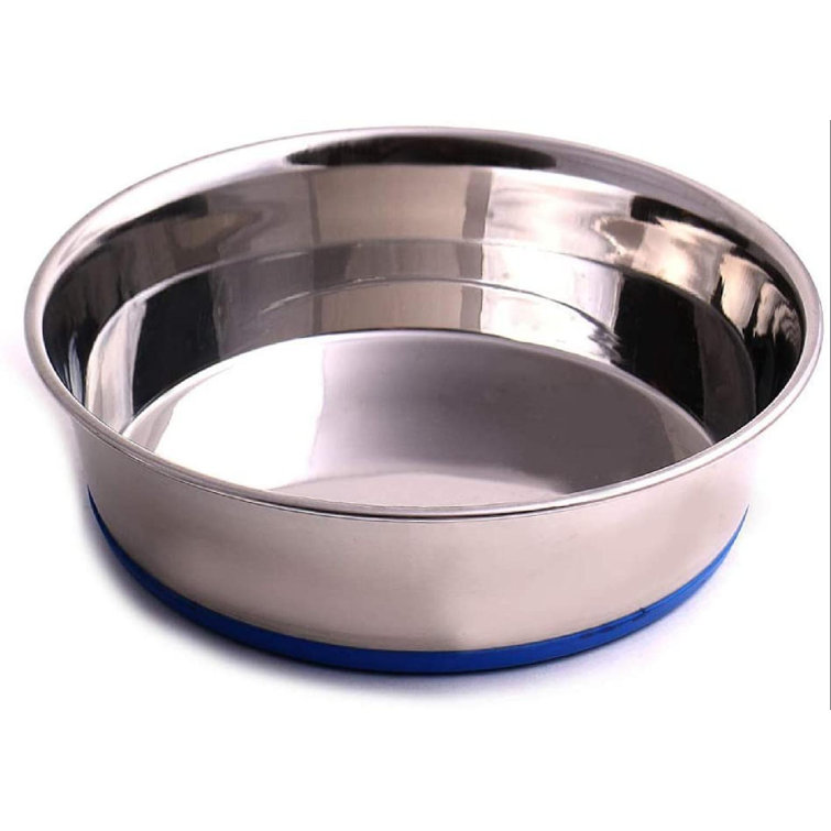metal dog dish
