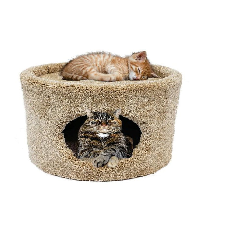 single cat condo