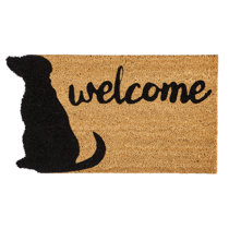 dog entry mat
