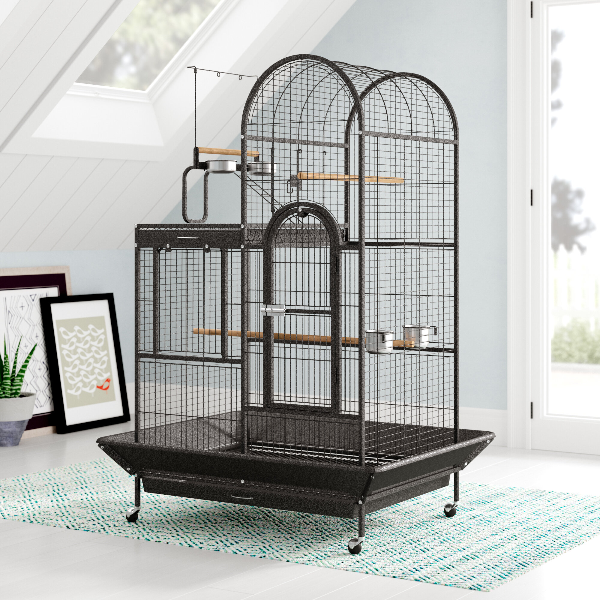 parrot cage online purchase