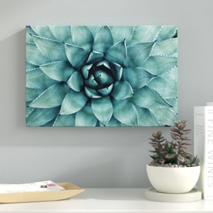 Turquoise Succulent Photographic Print on Wrapped review