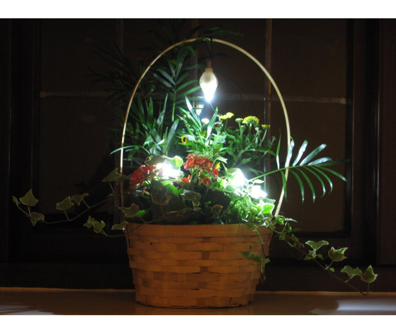 Sol 72 Outdoor 1 Light Floral Plant Decorative And Accent Light Reviews