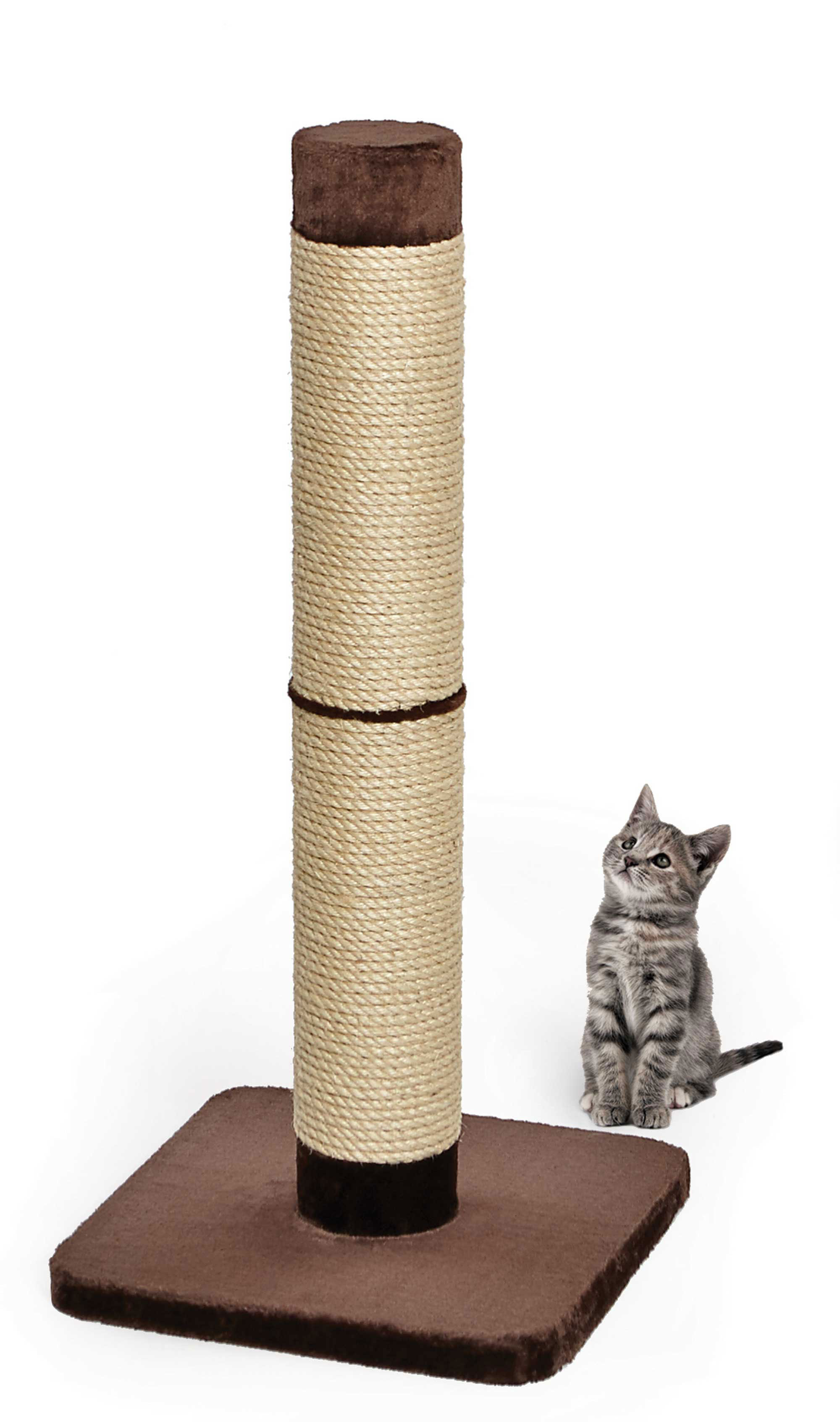 wayfair cat scratching post