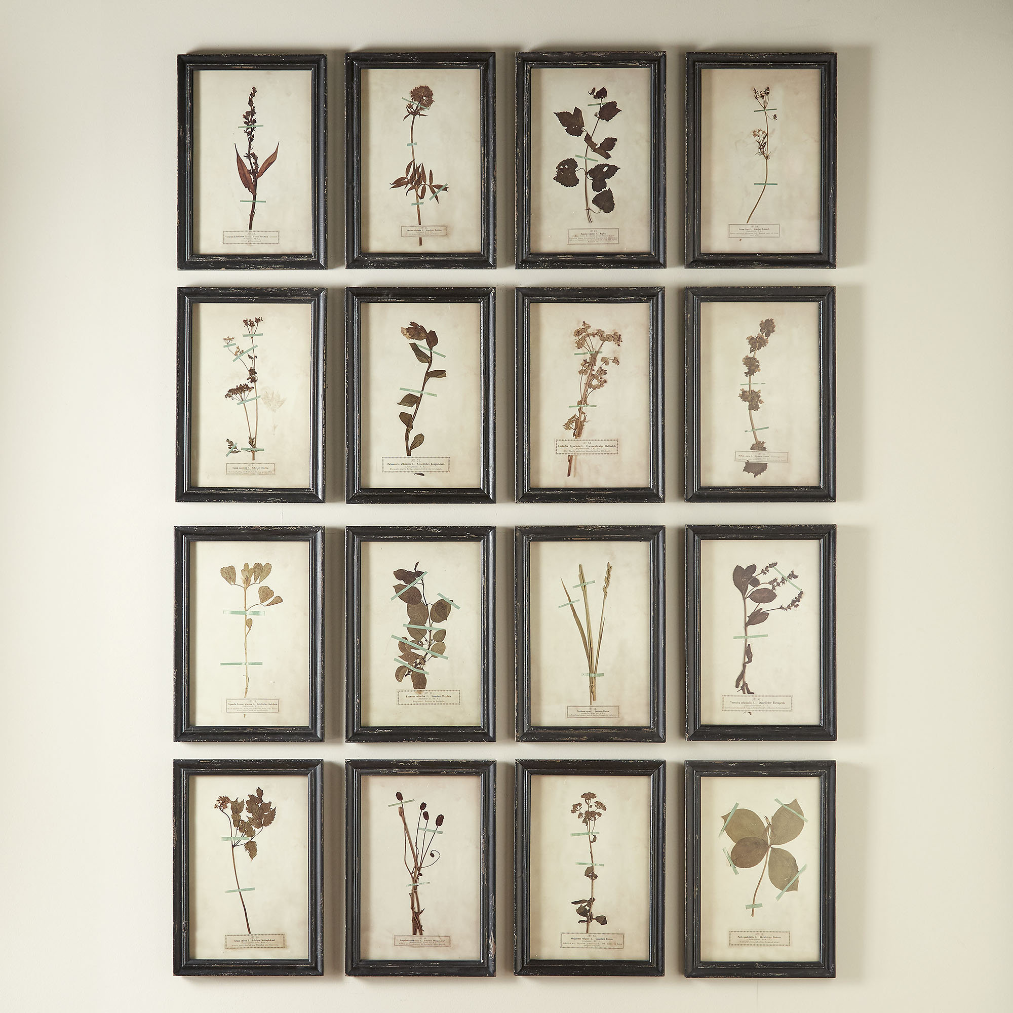 Birch Lane Heritage Wood Framed Wall Plaques With Dried Flower Birch Lane Heritage Wood Framed Wall