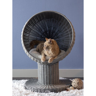 buy cat bed online