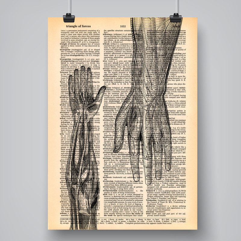 East Urban Home The Arm By Book Dictionary Art Graphic Art On Paper Wayfair