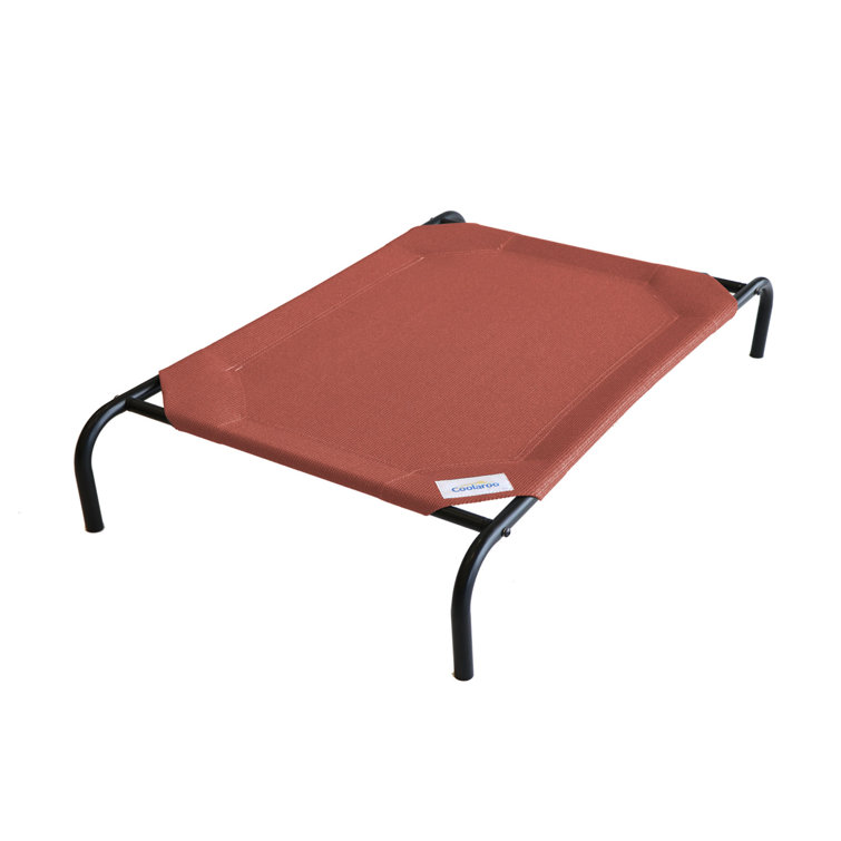 large pet cot