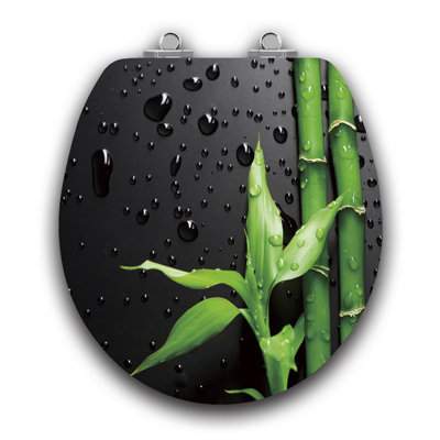 art of acryl piano black slow close round toilet seat