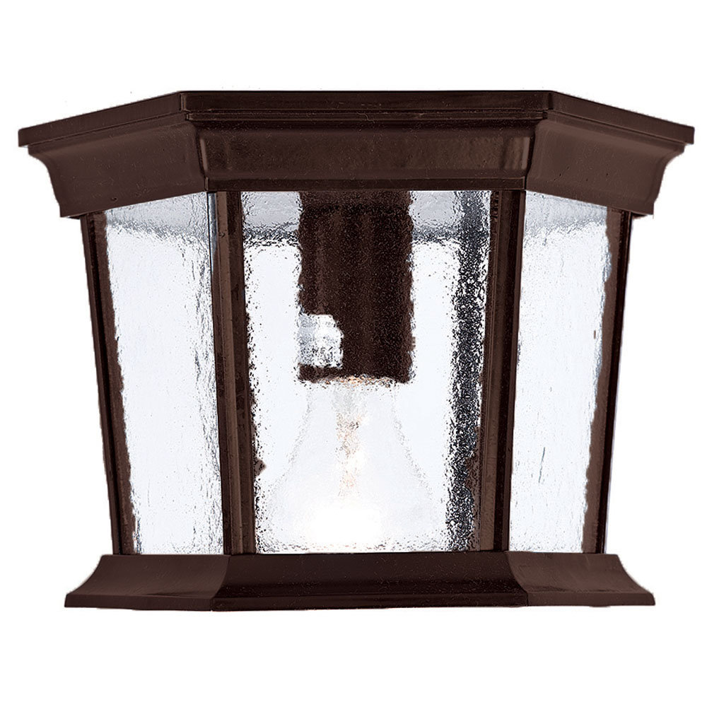 Flushmount Collection Ceiling-Mount 3-Light Burled Walnut Outdoor Light Fixture 