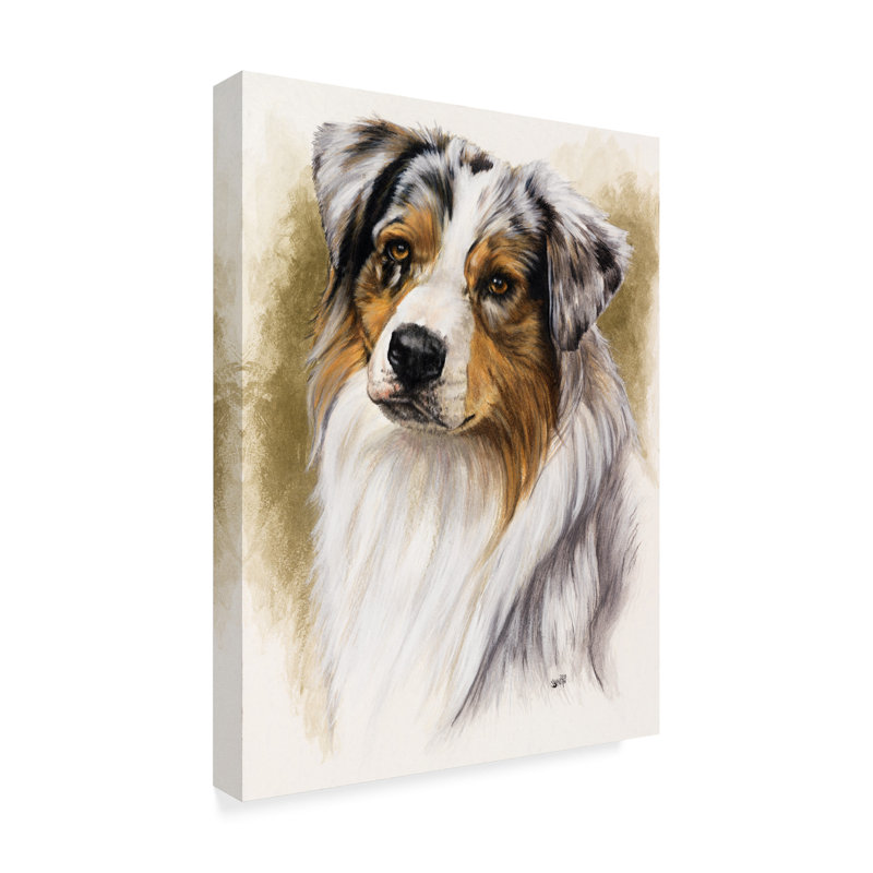 Trademark Art Australian Shepherd Oil Painting Print On Wrapped