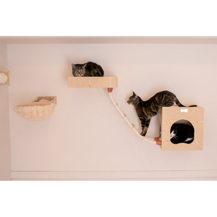 cat condo wall