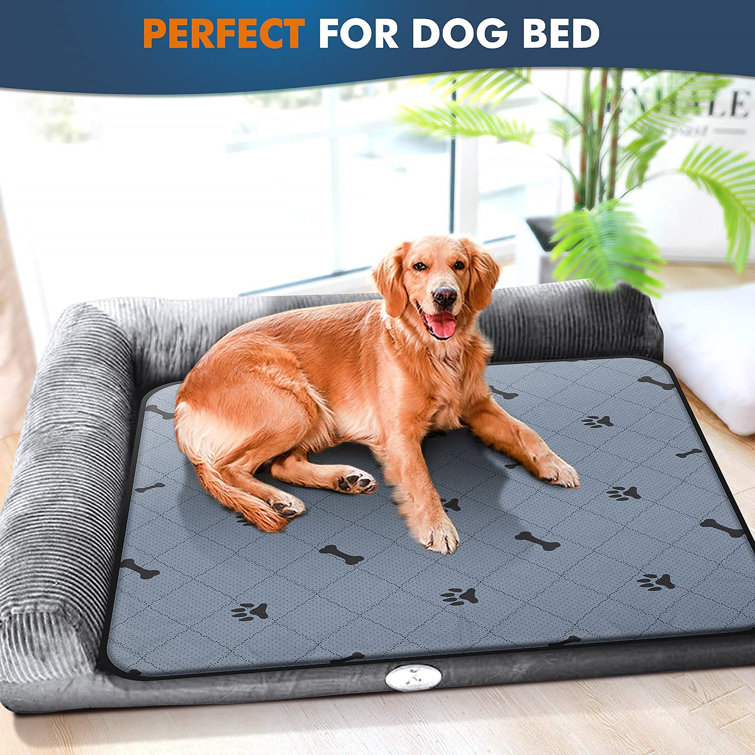 washable training pads