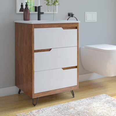 Abdinour 24" Single Bathroom Vanity