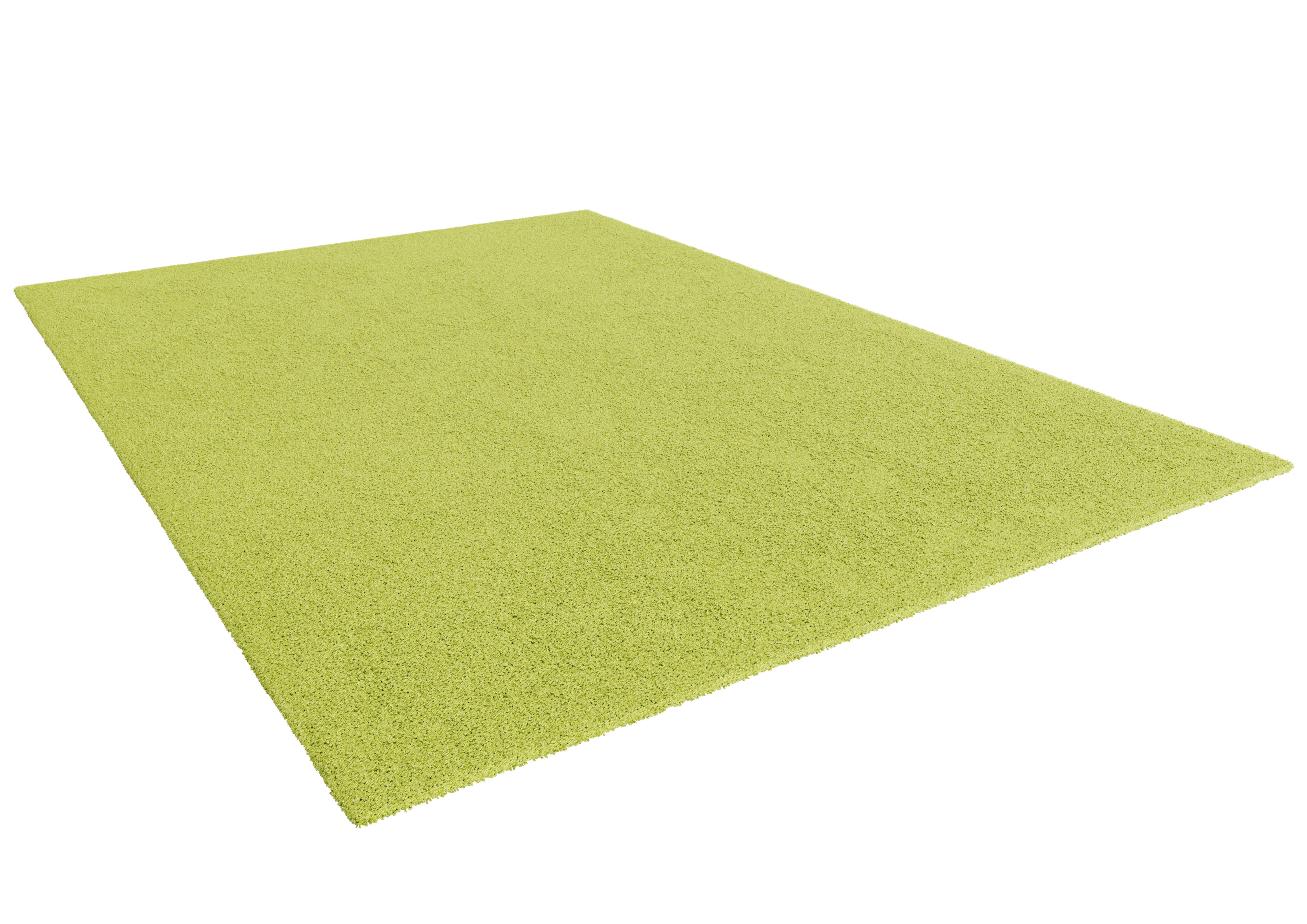 Ebern Designs Elsea Lime Green Area Rug Reviews Wayfair