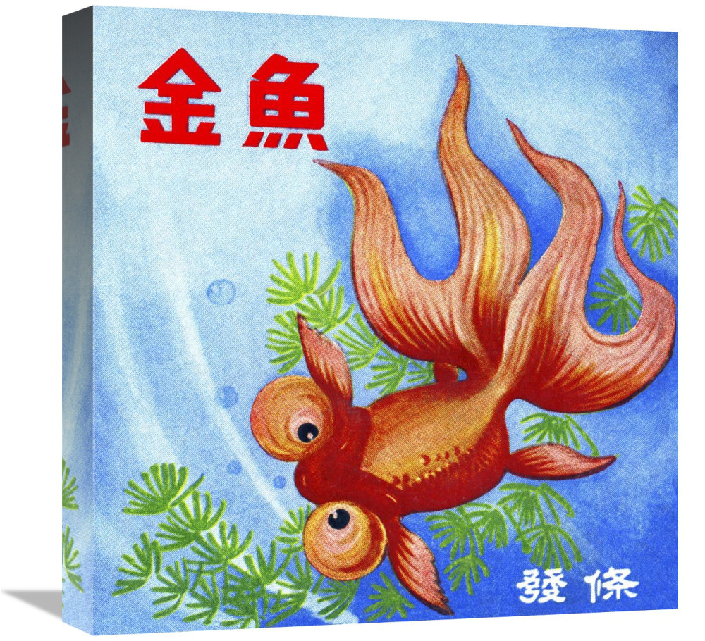 East Urban Home Fancy Bubble Eye Goldfish Wrapped Canvas Graphic Art