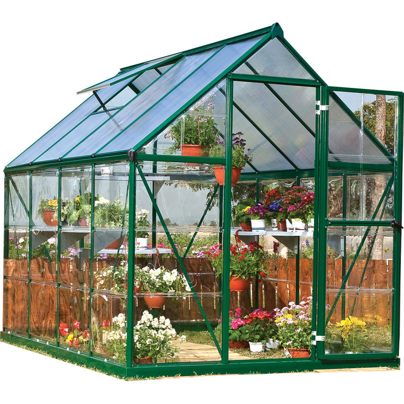 Palram Hybrid 6 Ft W X 8 Ft D Hobby Greenhouse Reviews Wayfair