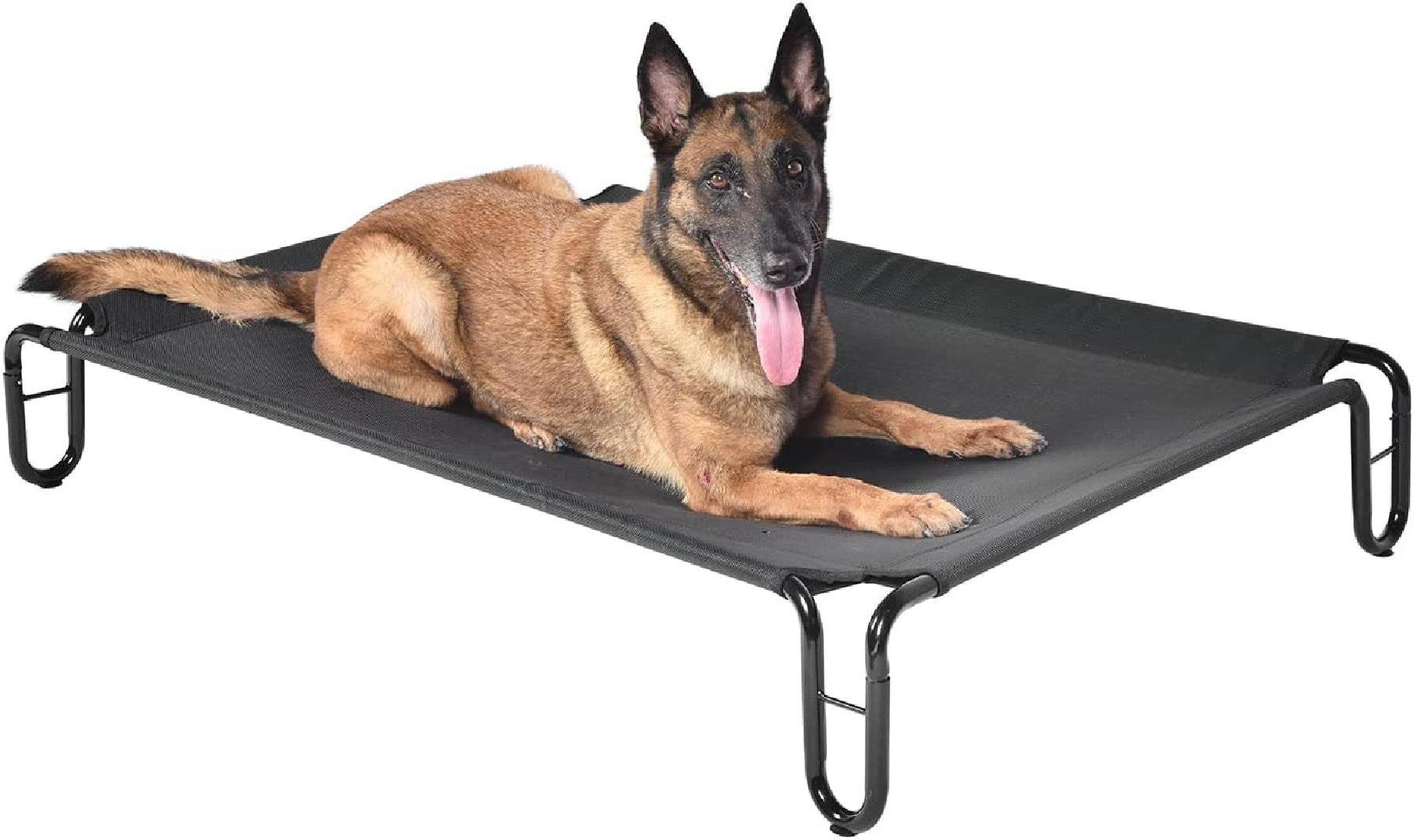 are elevated dog beds better