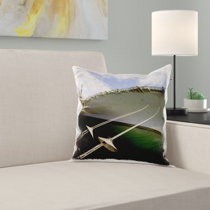 San Diego Pillow Wayfair