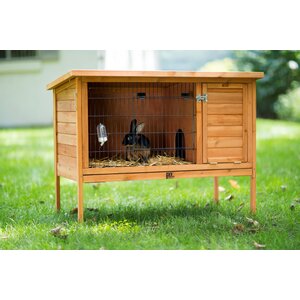 Rabbit Hutch