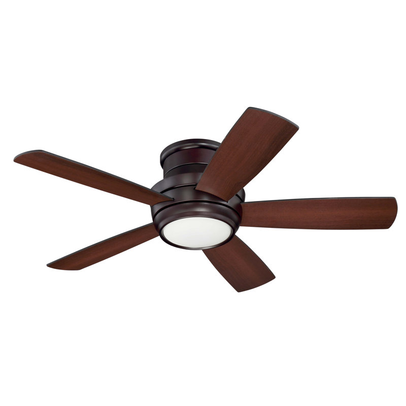 Latitude Run Contemporary 44" Cedarton Hugger 5 Blade ...