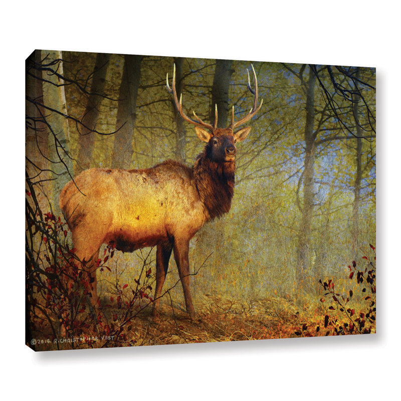 Loon Peak Aspen Forest Bull Elk Painting Print On Wrapped Canvas