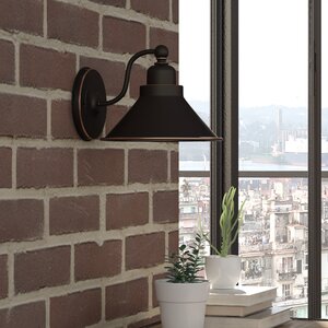 Schaff 1-Light Wall Sconce