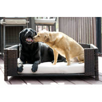 corina dog sofa