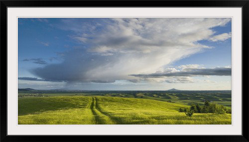 'Grassy Meadow, Palouse Washington' Photographic Print