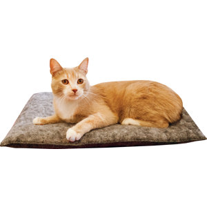 Amazin' Kitty Pad