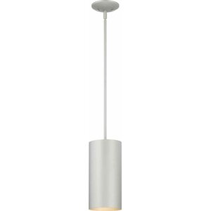 Aspasia 1-Light Outdoor Hanging Lantern