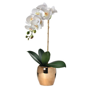 Orchid Stem Faux Flowers You Ll Love In 2021 Wayfair