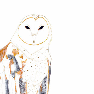 Owl Wall Art For Nursery Wayfair Owl By Amber Duke Graphic Art