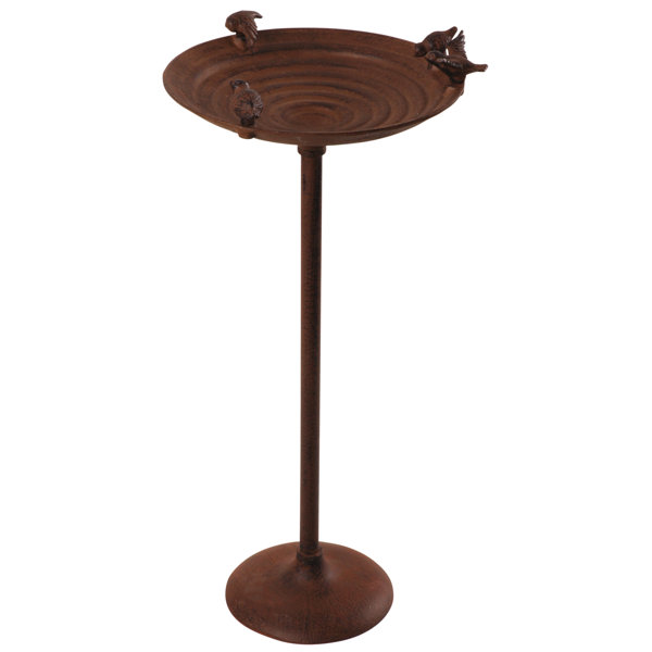 Cast Iron Bird Bath Wayfair Co Uk