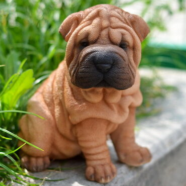 Hi Line Gift Ltd Sitting Shar Pei Puppy Statue Reviews Wayfair