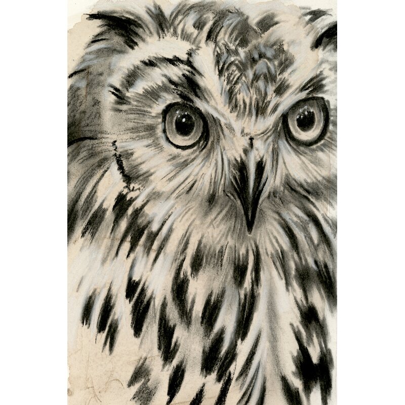 Charcoal Owl I by Jennifer Paxton Parker - Wrapped Canvas Painting