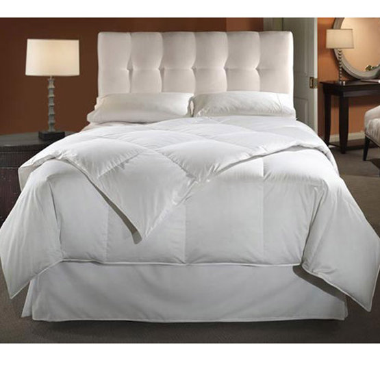 Downlite Hypoallergenic Midweight Down Comforter & Reviews Wayfair